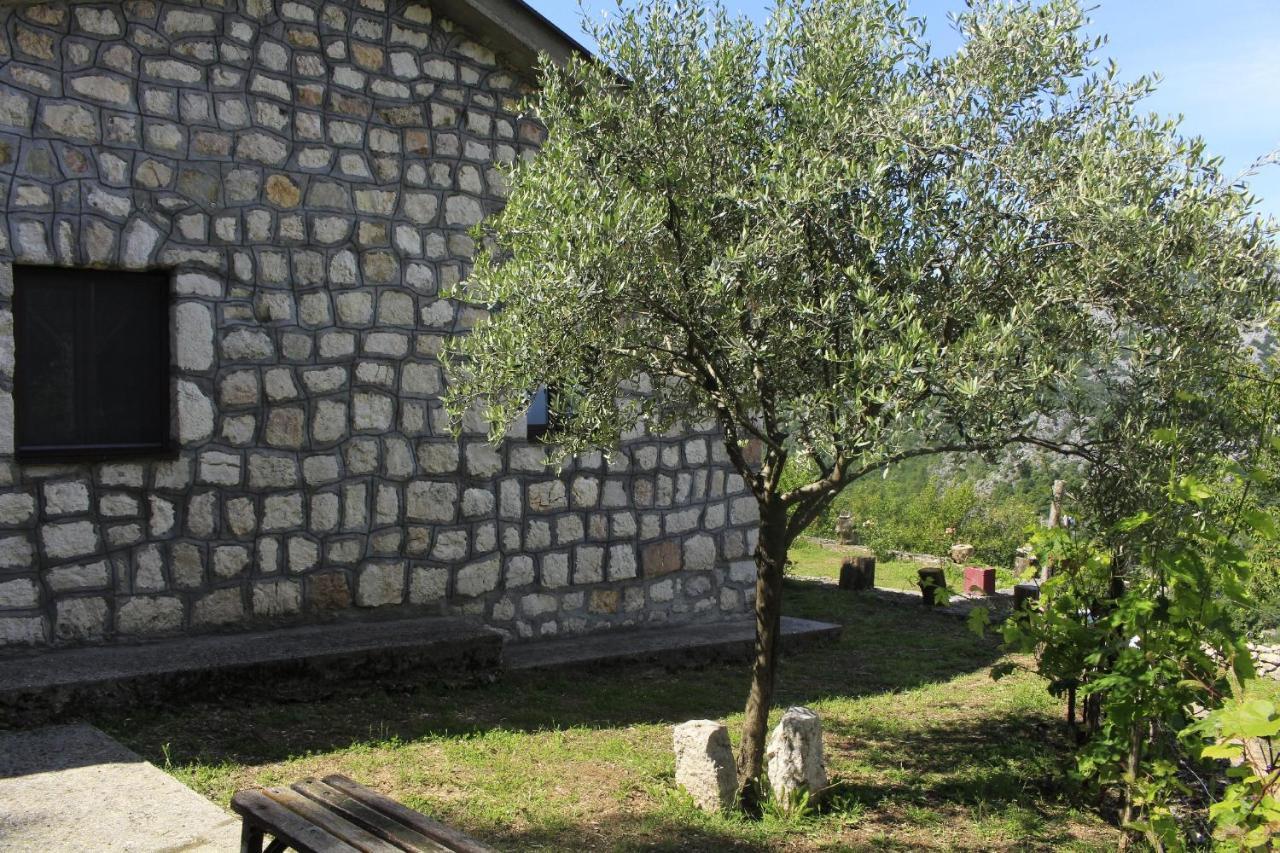Vila Rent House Orahovo Virpazar Exteriér fotografie